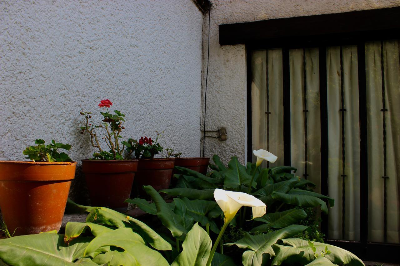 Casa Ayvar Mexico Extérieur photo